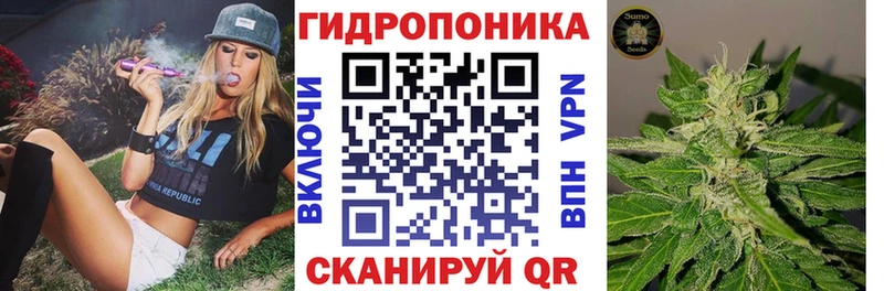 Где найти наркотики Сланцы Канабис  Альфа ПВП  Cocaine  Галлюциногенные грибы  Мефедрон  Гашиш 